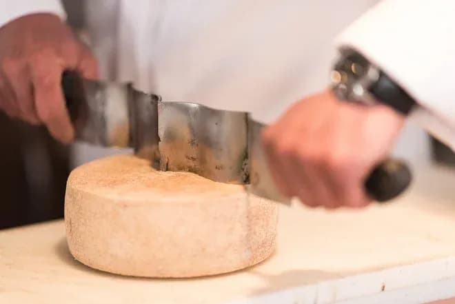 fromager en formation découpant un fromage rond avec un coupe-fromage