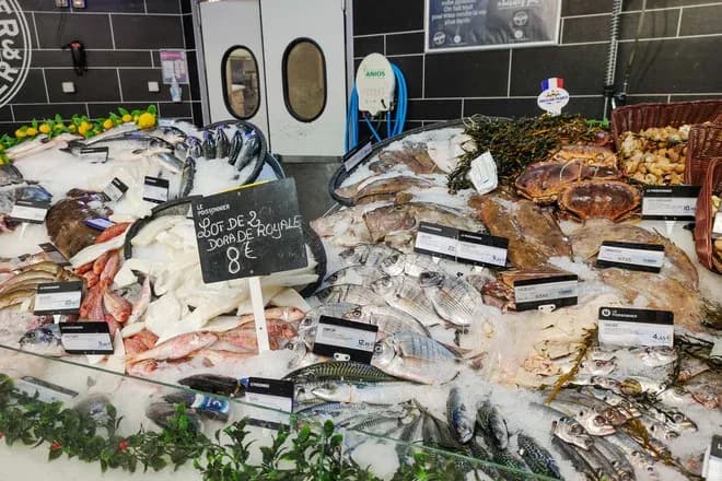 étal de poissons frais sur glace avec dorade royale maquereaux et pancarte 8€