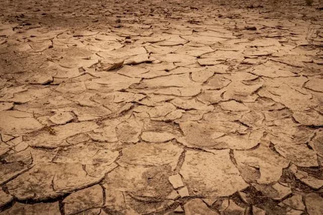 sol de terre craquelée par la sécheresse avec des fissures et des morceaux de terre sèche