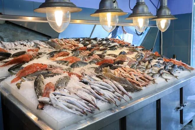 étal de poissons variés sur glace éclairé par lampes industrielles