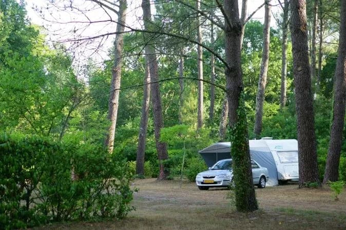 camping-car stationné sous des arbres dans un environnement verdoyant et paisible