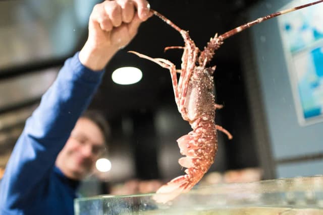 homme tenant une langouste au-dessus d'un aquarium dans un environnement de marché maritime