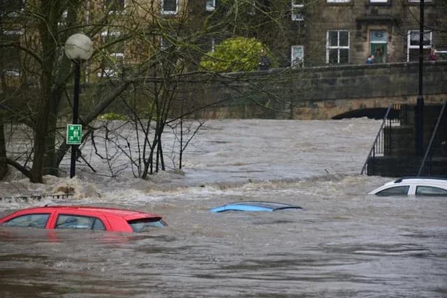 inondation submerge des voitures et arbres près d'un pont avec des bâtiments en arrière-plan