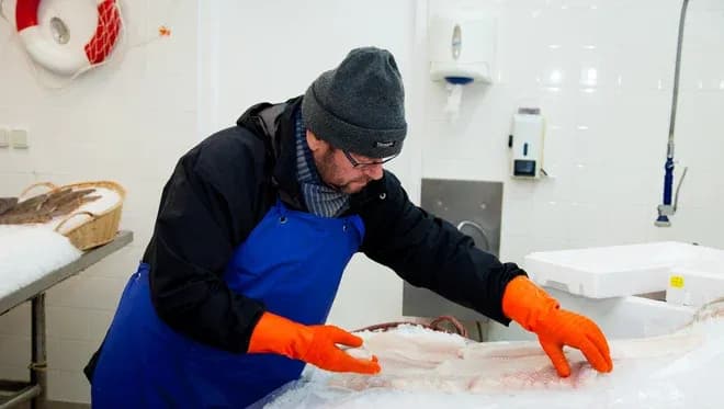 Homme en tenue de travail manipulant des poissons dans une chambre froide de poissonnerie