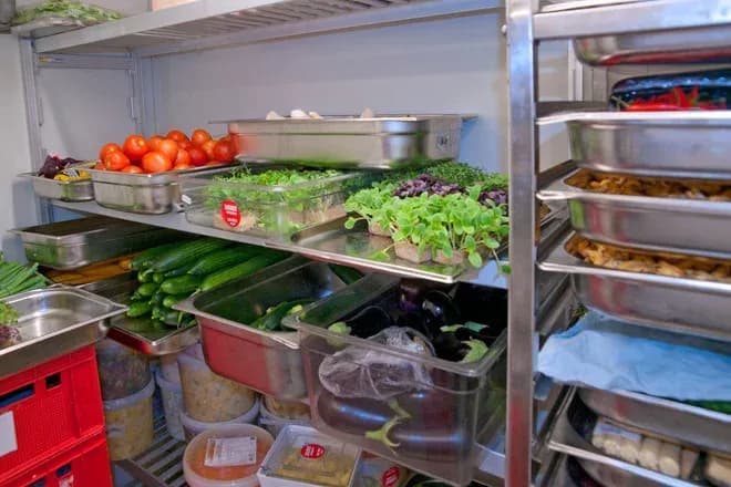 chambre froide contenant étagères de bacs avec tomates concombres aubergines et jeunes pousses