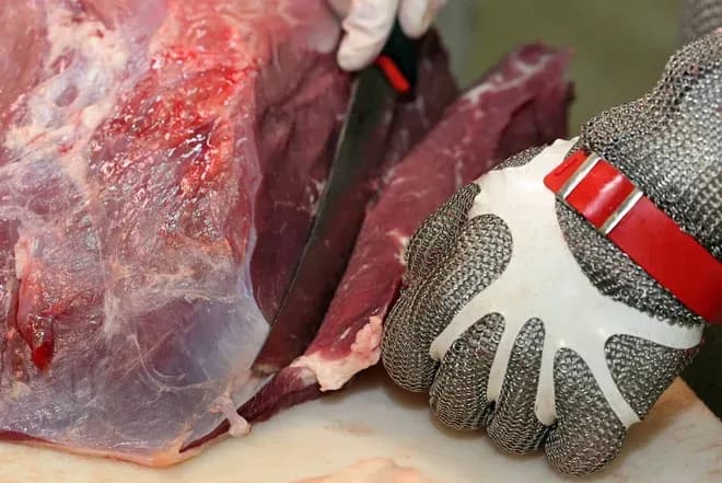 main gantée en cotte de mailles découpant une pièce de viande au couteau