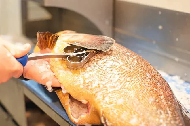 outil utilisé pour écailler un poisson sur une surface de travail en cuisine