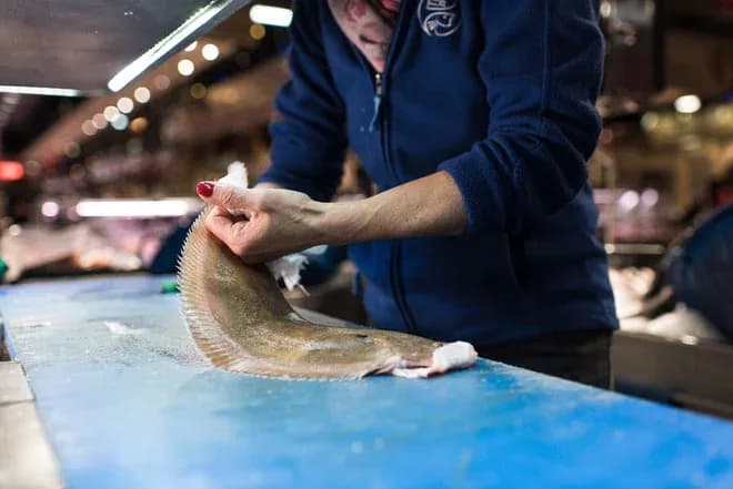 personne préparant une sole sur un plan de découpe bleu au marché