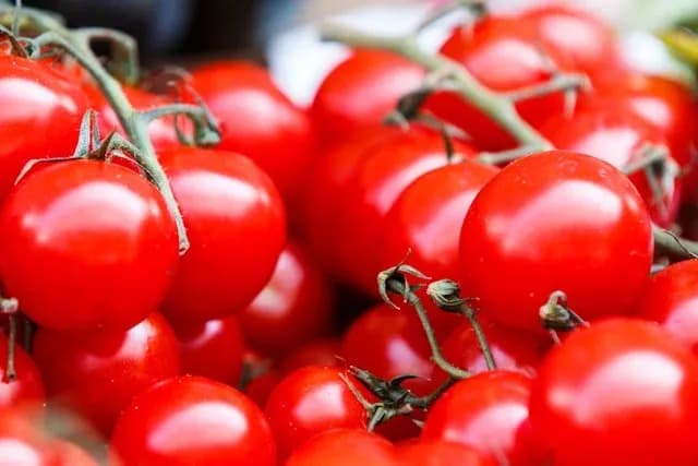 tomates rouges brillantes entassées avec quelques tiges vertes visibles