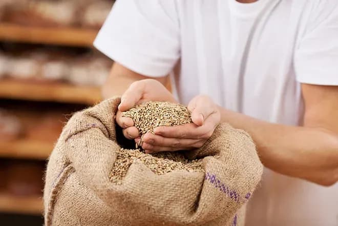 mains tenant du blé en grains dans un sac en jute, pains en arrière-plan