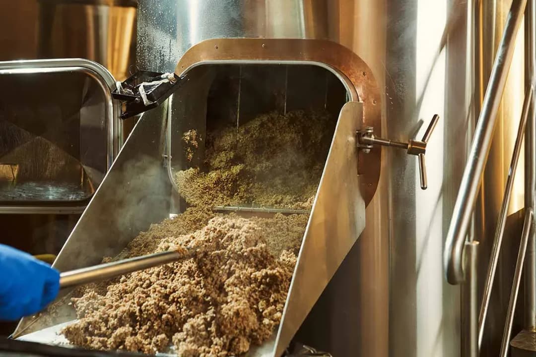 matériel de brassage de bière avec grains en cours de traitement dans une cuve professionnelle