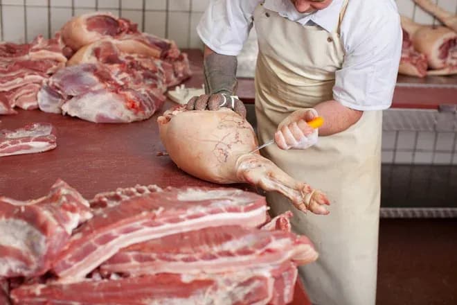 apprenti charcutier découpant une cuisse de porc avec gant anti coupure