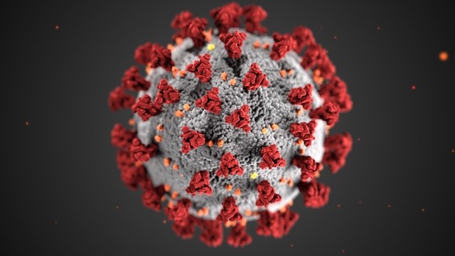 Image de synthèse représentant le coronavirus Covid-19