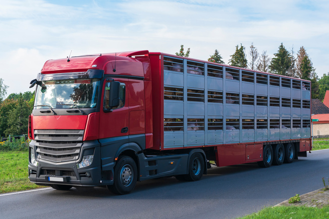 Camion de transport d'animaux