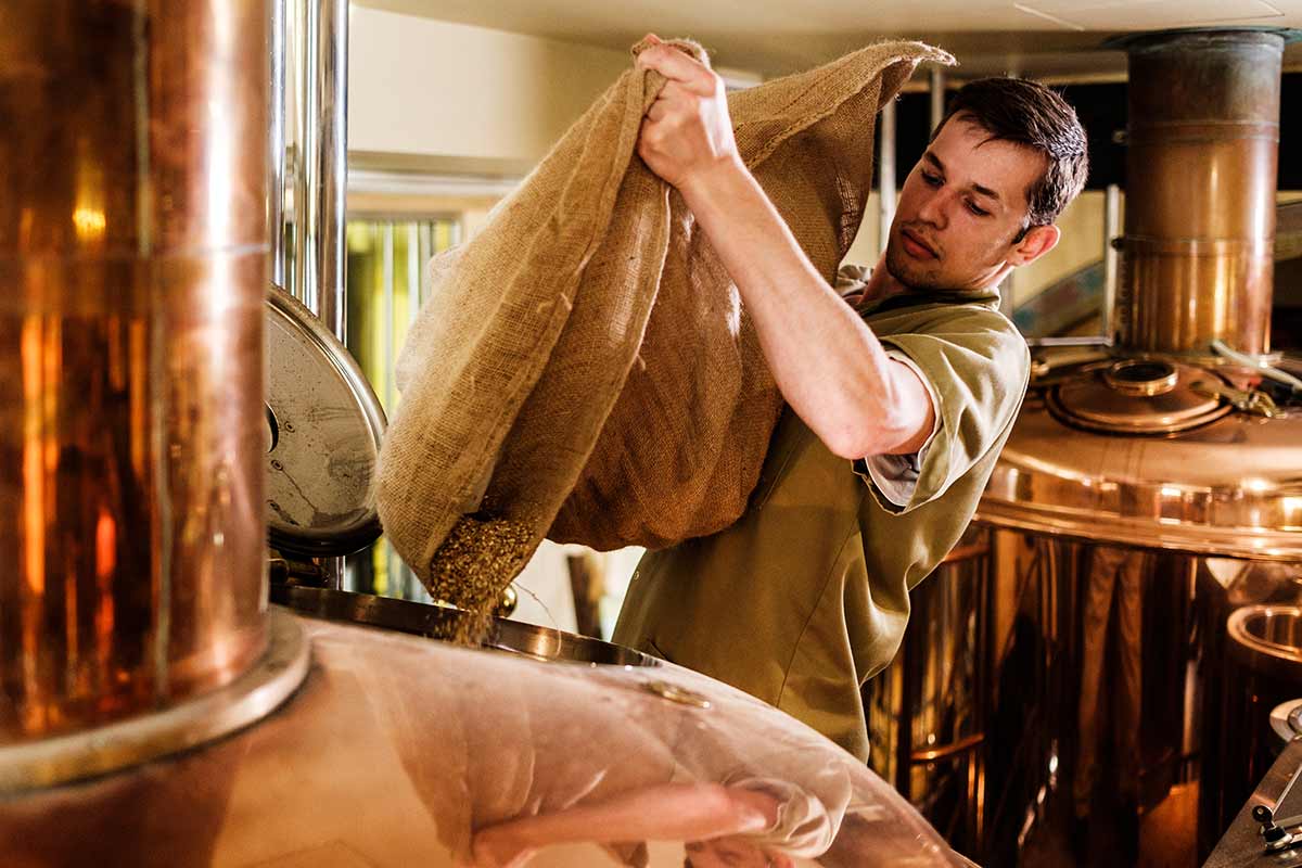 Brasseur entrain de mettre des céréales dans une cuve