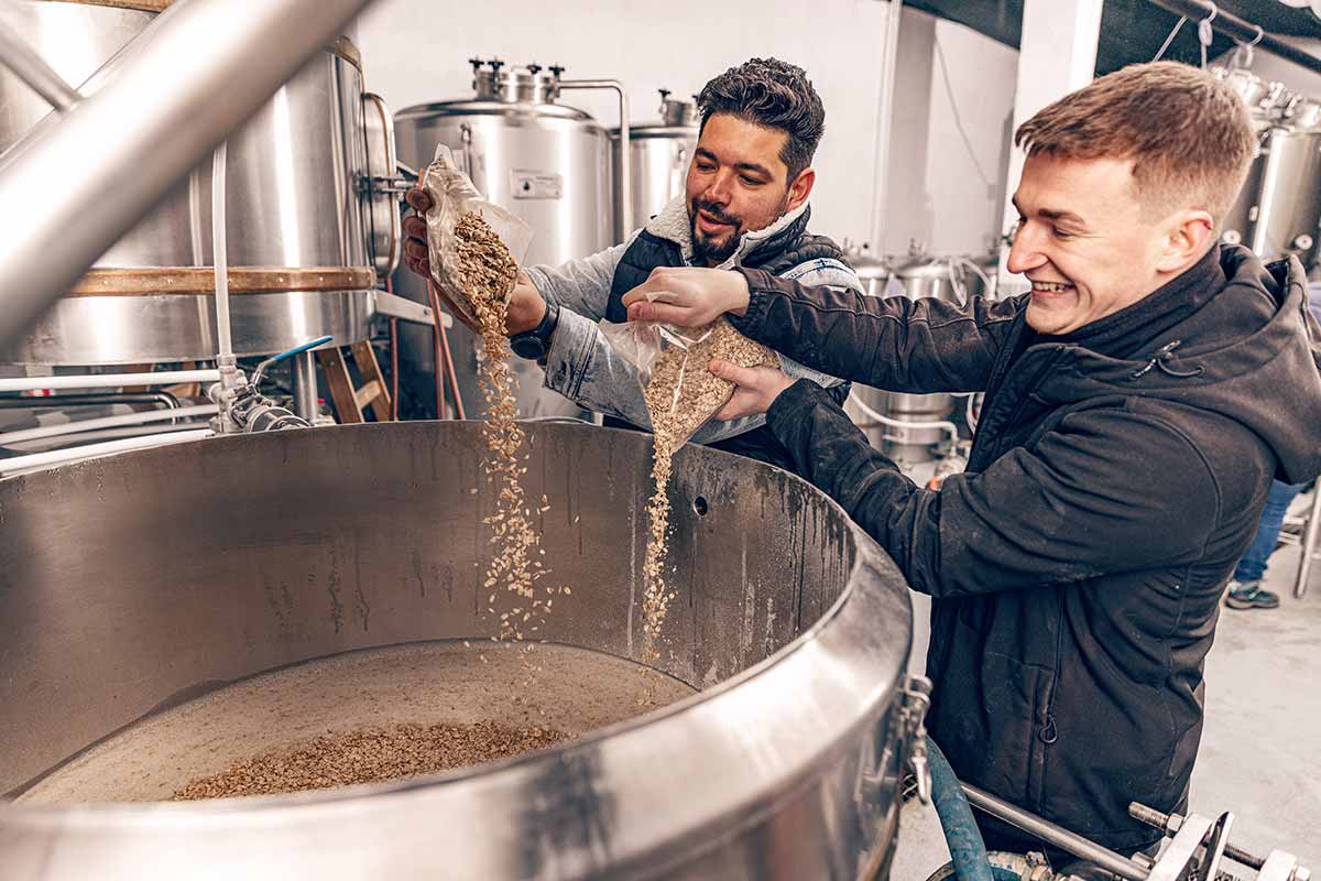 Brasseurs mettent céréales dans une cuve