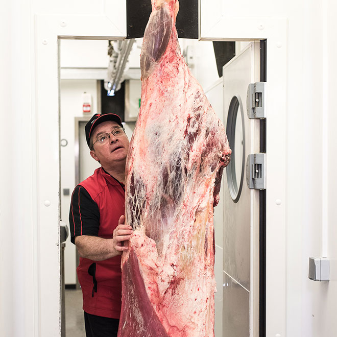 Transport de carcasse en chambre froide de boucherie