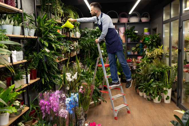 Fleuriste arrose des plantes