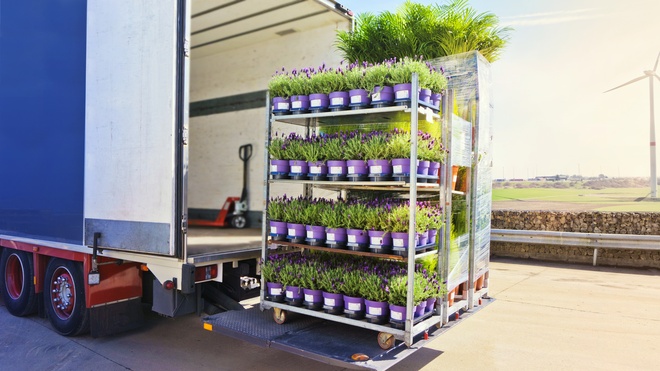 Chargement de fleurs dans un camion