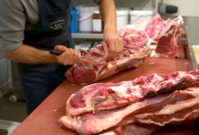 Apprenti boucher entrain de découper la viande d'une carcasse