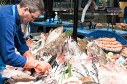 Poissonnier devant son étalage de poissonnerie