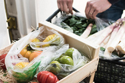 Assurance Primeur / Marchand fruits et légumes
